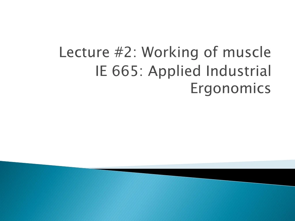 lecture 2 working of muscle ie 665 applied industrial ergonomics