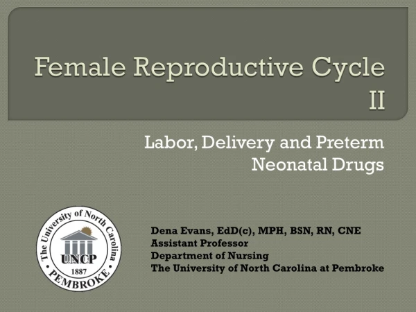 Female Reproductive Cycle II