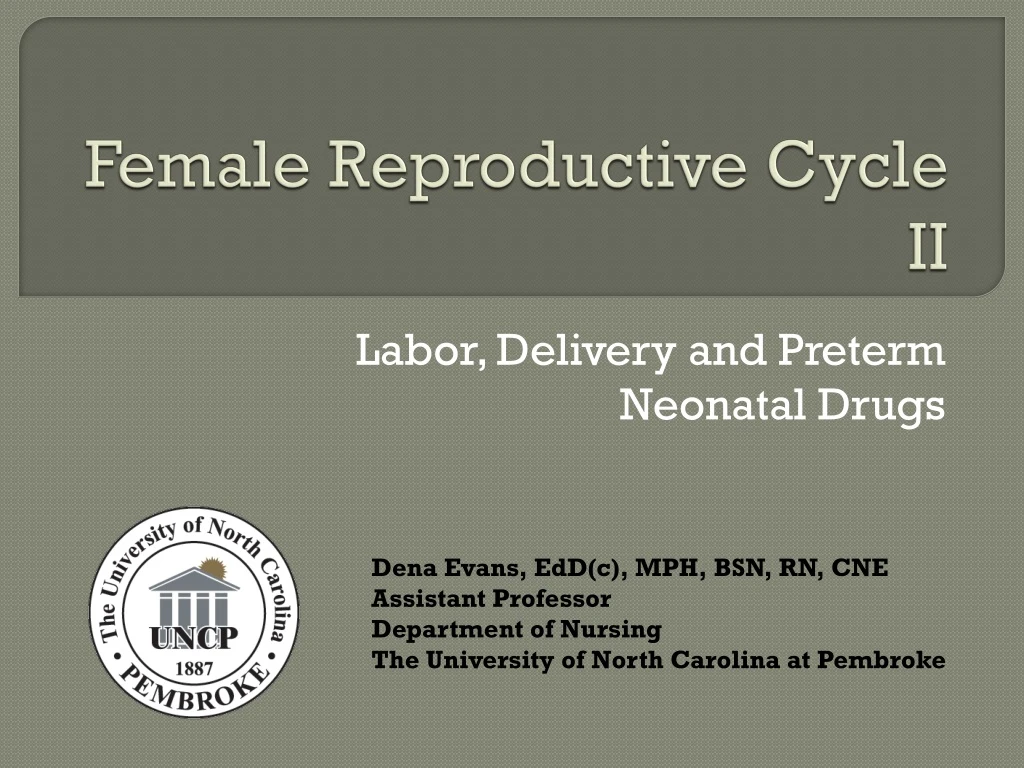 female reproductive cycle ii