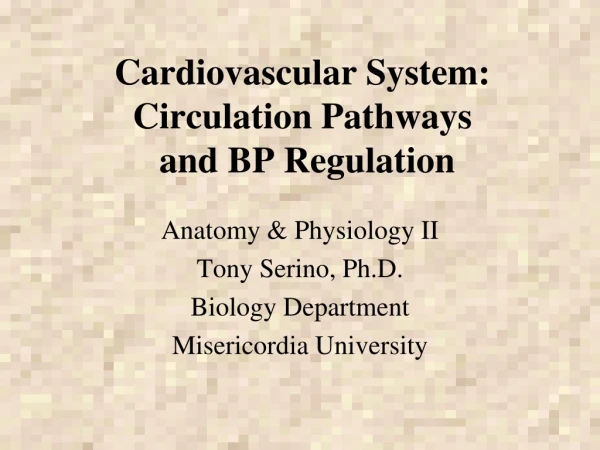 Cardiovascular System: Circulation Pathways  and BP Regulation