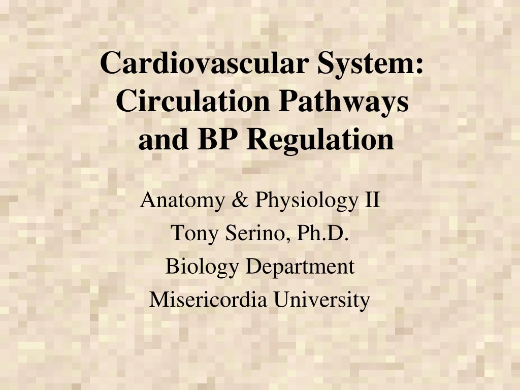 cardiovascular system circulation pathways and bp regulation