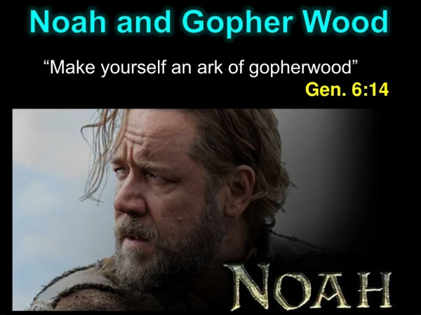Noah and Gopher Wood