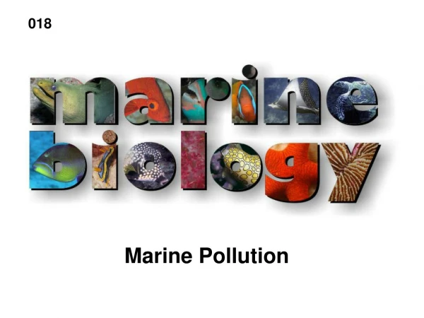 Marine Pollution