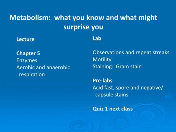 Metabolism:  what you know and what might surprise you