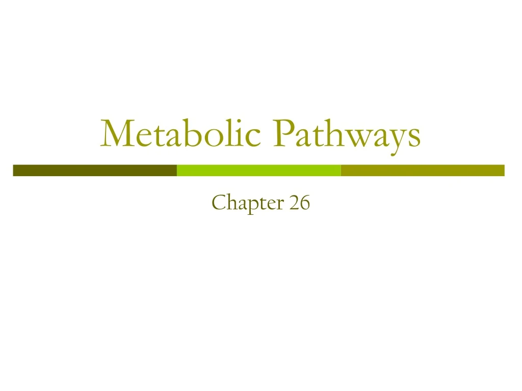 metabolic pathways