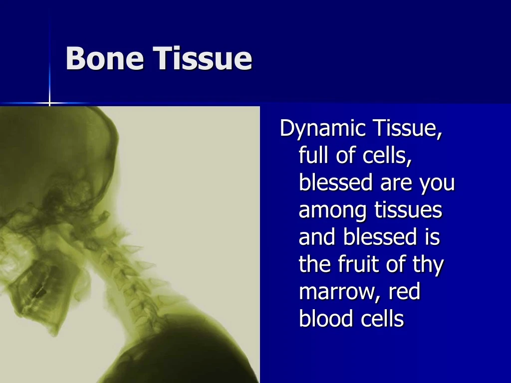 bone tissue