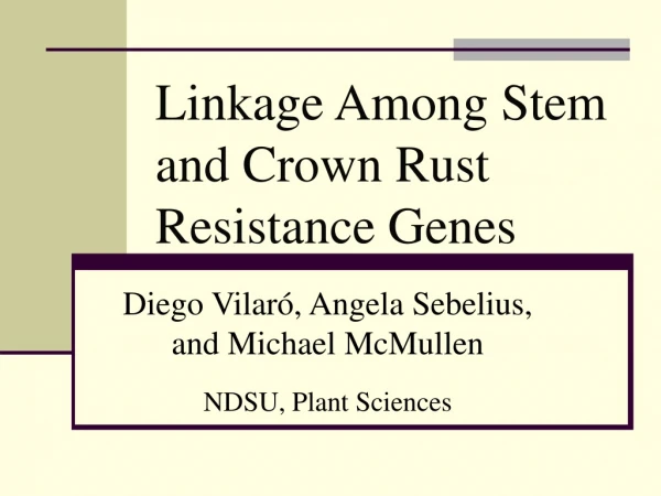 Linkage Among Stem and Crown Rust Resistance Genes