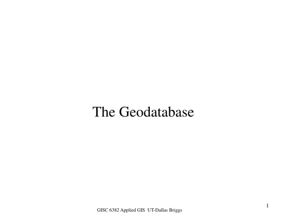 The Geodatabase