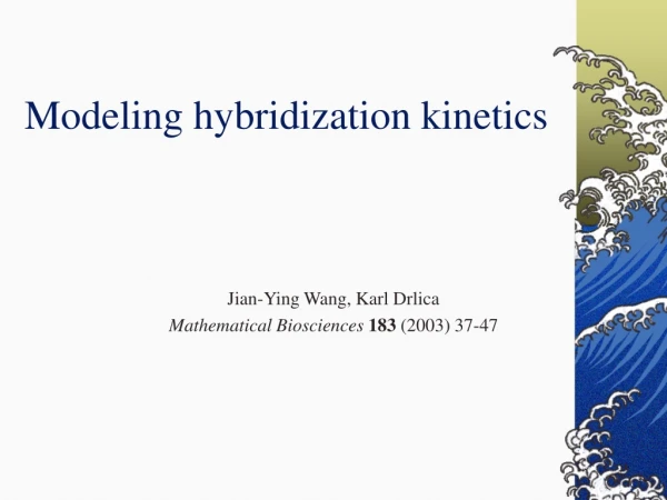 Modeling hybridization kinetics