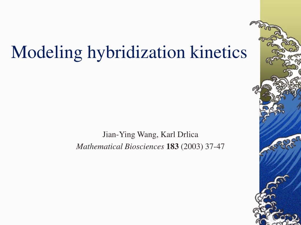 modeling hybridization kinetics