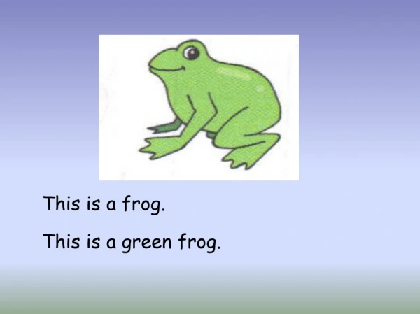This is a frog.