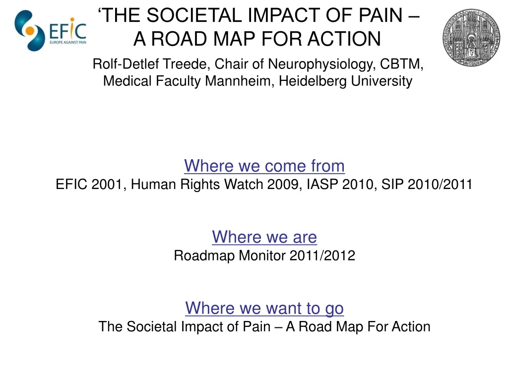 the societal impact of pain a road map for action