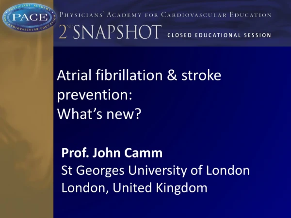 Atrial fibrillation  &amp;  stroke prevention : What’s new ?