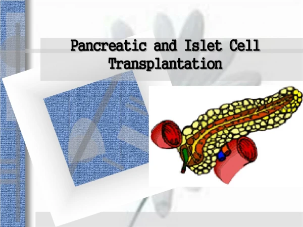 Pancreatic and Islet Cell Transplantation