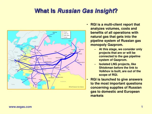 What Is  Russian Gas Insight ?