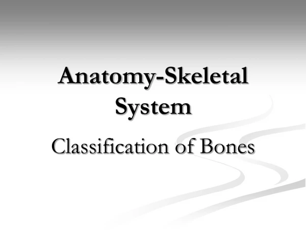 Anatomy-Skeletal System