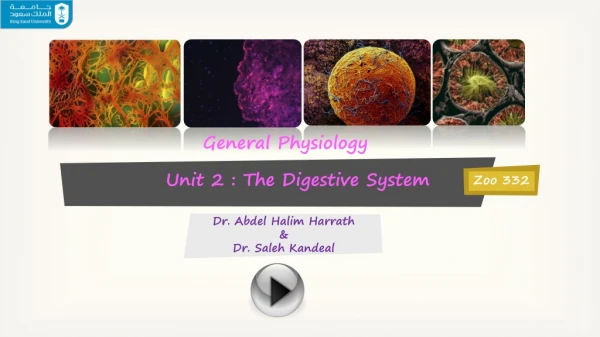 Dr. Abdel Halim Harrath &amp; Dr. Saleh Kandeal