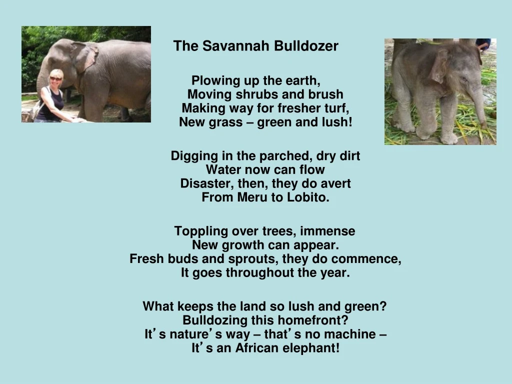 the savannah bulldozer plowing up the earth