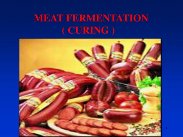 MEAT FERMENTATION                ( CURING )