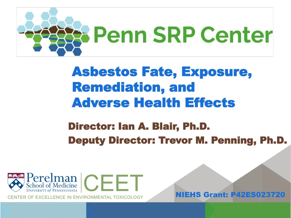 asbestos fate exposure remediation and adverse health effects