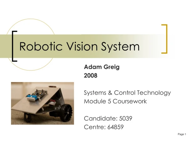 Robotic Vision System