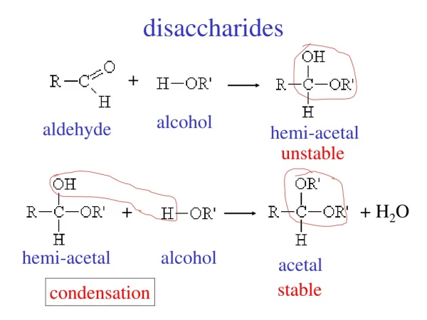 disaccharides