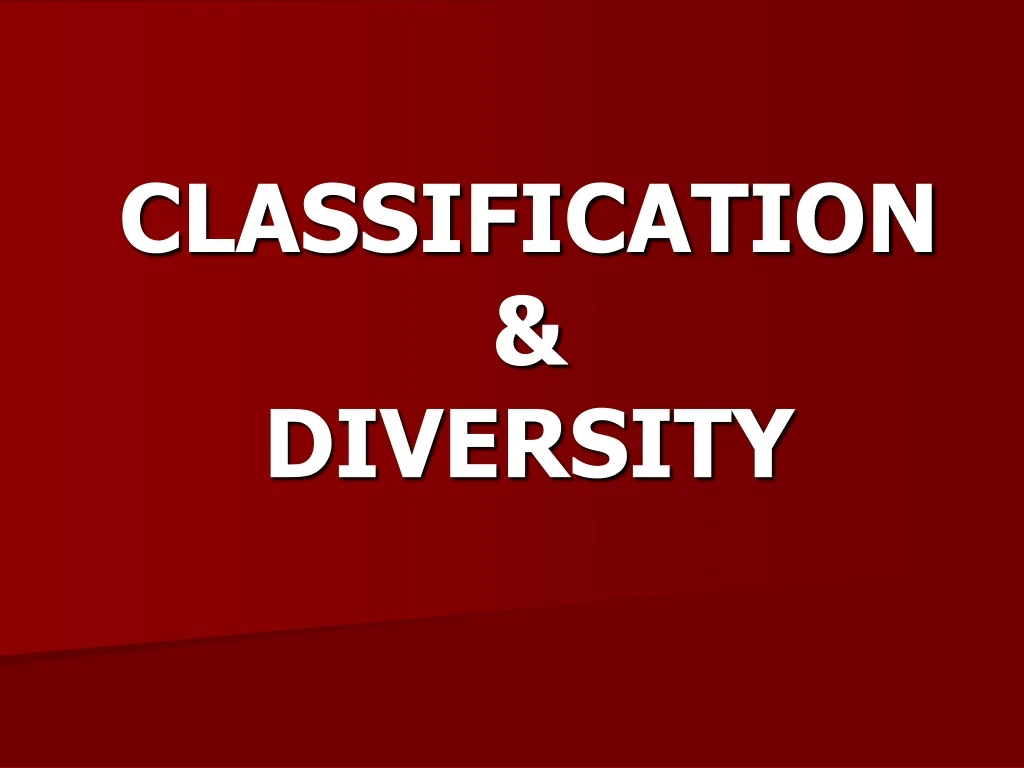 classification diversity