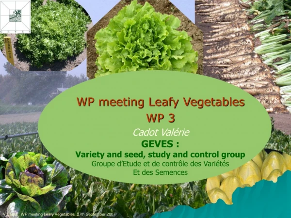 WP meeting Leafy Vegetables  WP 3 Cadot Valérie GEVES :