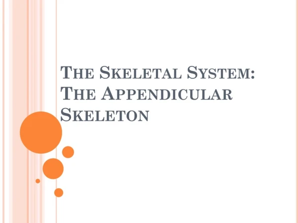 The Skeletal System:  The  Appendicular  	Skeleton