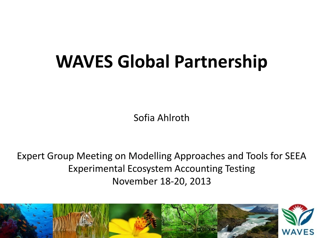 waves global partnership