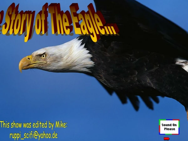 The Story of The Eagle…