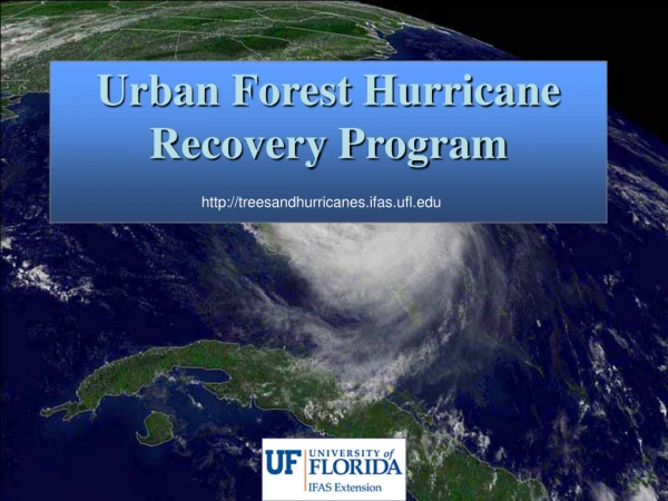 Urban Forest Hurricane Recovery Program