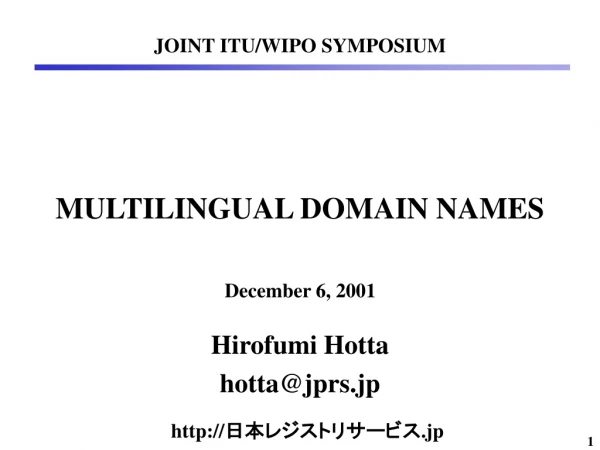 MULTILINGUAL DOMAIN NAMES