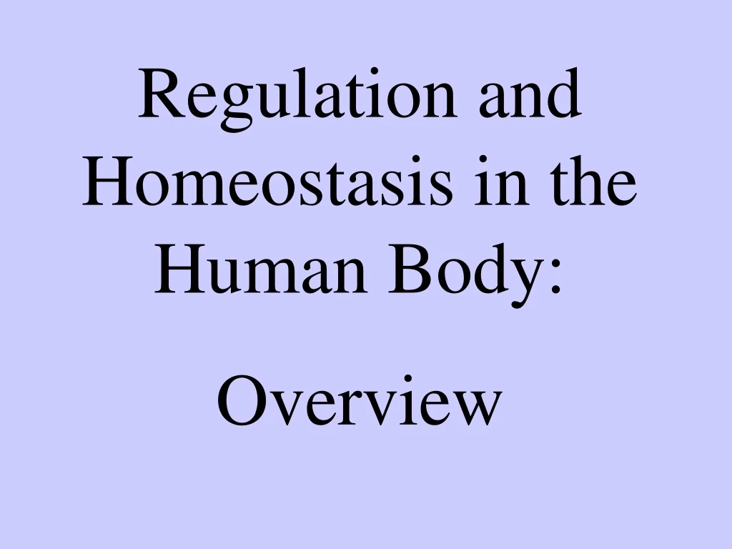 regulation and homeostasis in the human body