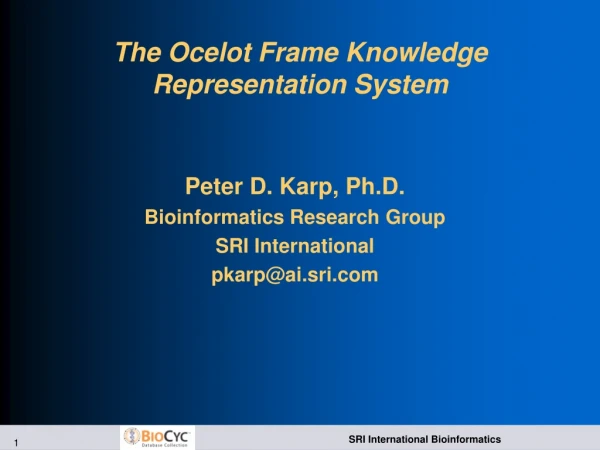 The Ocelot Frame Knowledge Representation System