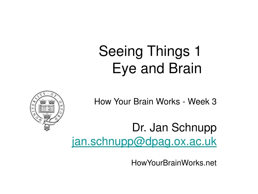 how your brain works week 3 dr jan schnupp jan schnupp@dpag ox ac uk howyourbrainworks net