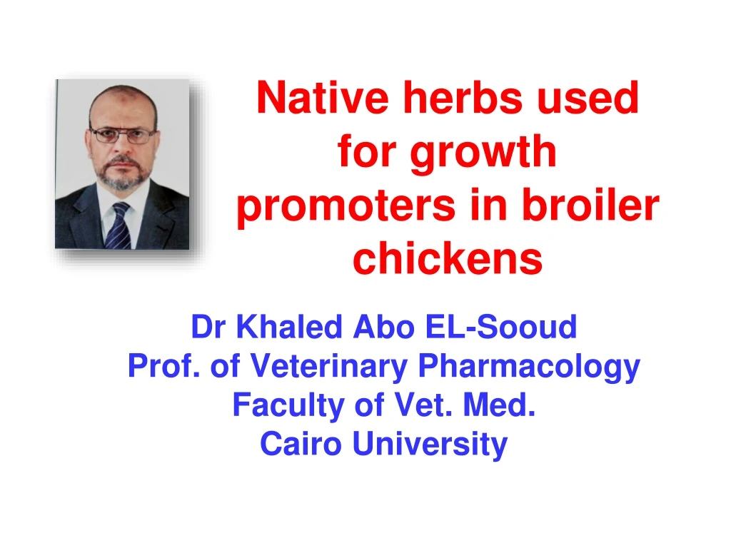 native herbs used for growth promoters in broiler chickens