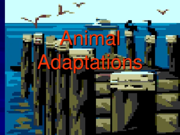 Animal Adaptations