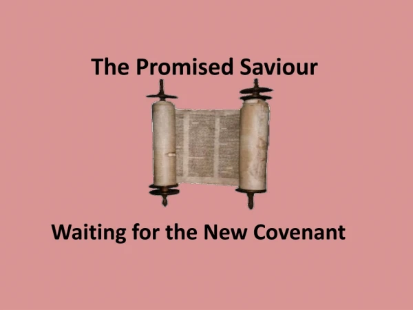 The Promised Saviour