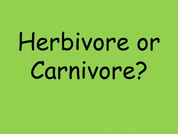 Herbivore or Carnivore?