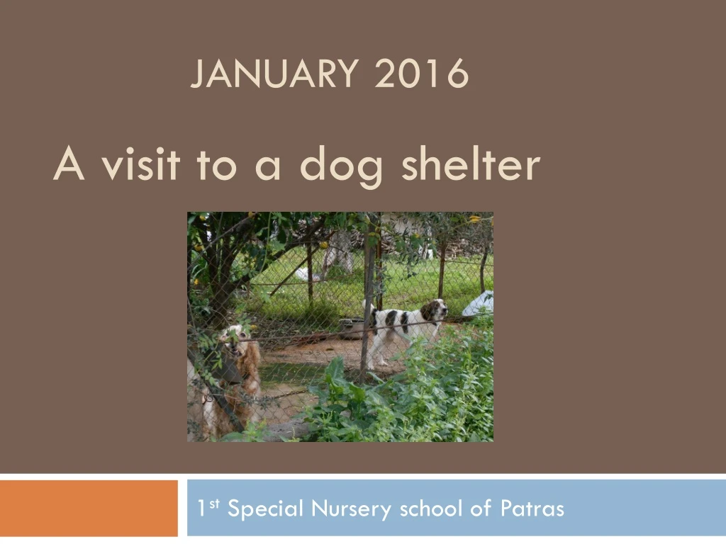 1 st special nursery school of patras