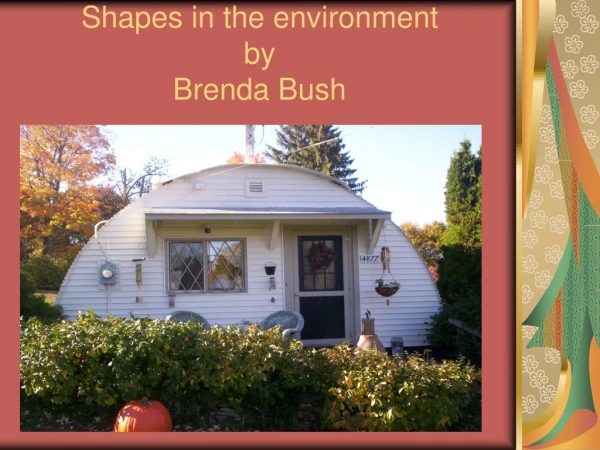 Shapes in the environment by Brenda Bush