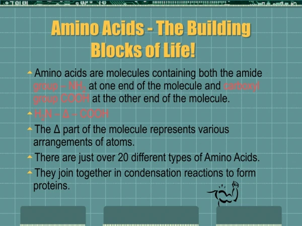 Amino Acids - The Building Blocks of Life!