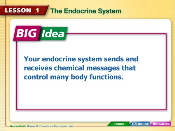 Your endocrine system sends and receives chemical messages that control many body functions.