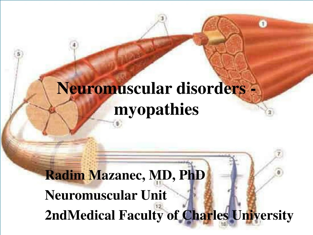 neuromuscular disorders myopathies