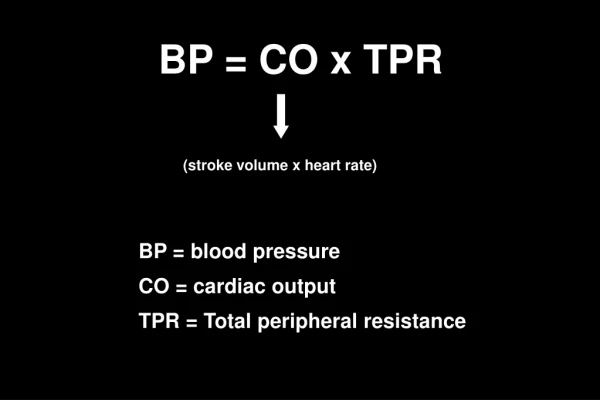BP = CO x TPR