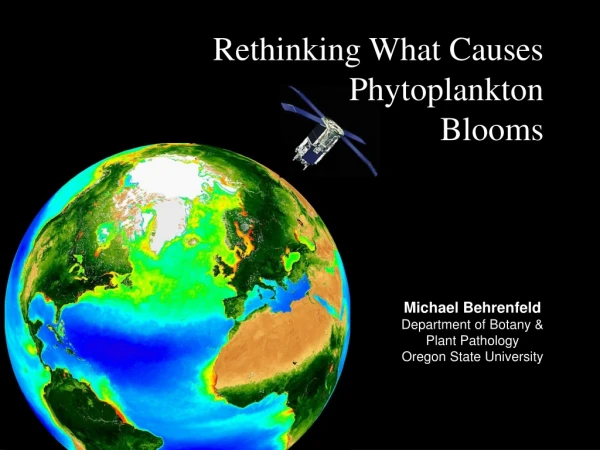 Rethinking What Causes  Phytoplankton  Blooms