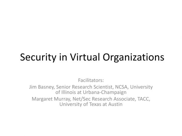 Security in Virtual Organizations
