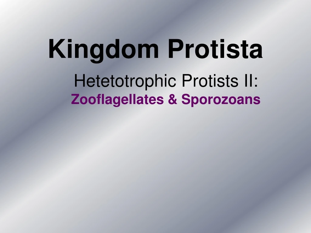 PPT - Kingdom Protista PowerPoint Presentation, Free Download - ID:9180017