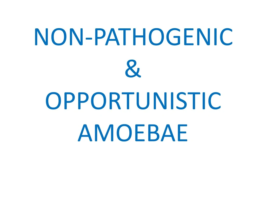 non pathogenic opportunistic amoebae